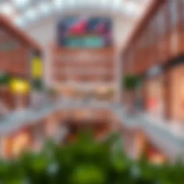 Magnificent An In-Depth Exploration of La Mer Mall: A Gem in Dubai's Retail Landscape Magnificent An In-Depth Exploration of La Mer Mall: A Gem in Dubai's Retail Landscape