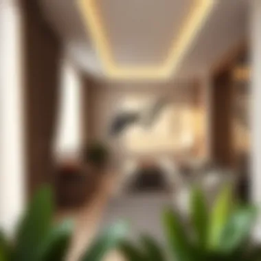 Magnificent Exploring Affordable Bed Space Options in Dubai Magnificent Exploring Affordable Bed Space Options in Dubai