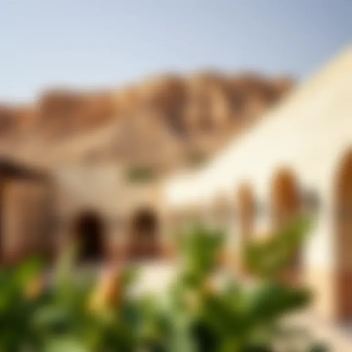 Magnificent Exploring Jabal Ali Village: A Comprehensive Insight Magnificent Exploring Jabal Ali Village: A Comprehensive Insight