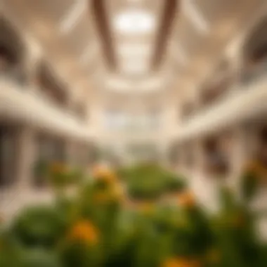 Magnificent Exploring Nursery Palm Jumeirah: A Comprehensive Insight Magnificent Exploring Nursery Palm Jumeirah: A Comprehensive Insight