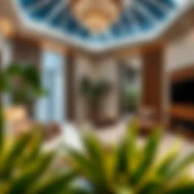 Magnificent Exploring Room Rentals in Discovery Gardens Magnificent Exploring Room Rentals in Discovery Gardens