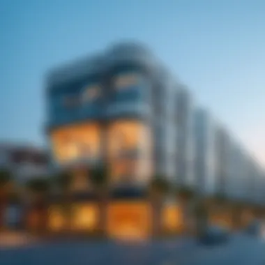 Magnificent Understanding Liwan 2: Insights into Dubai's Emerging Neighborhood Magnificent Understanding Liwan 2: Insights into Dubai's Emerging Neighborhood