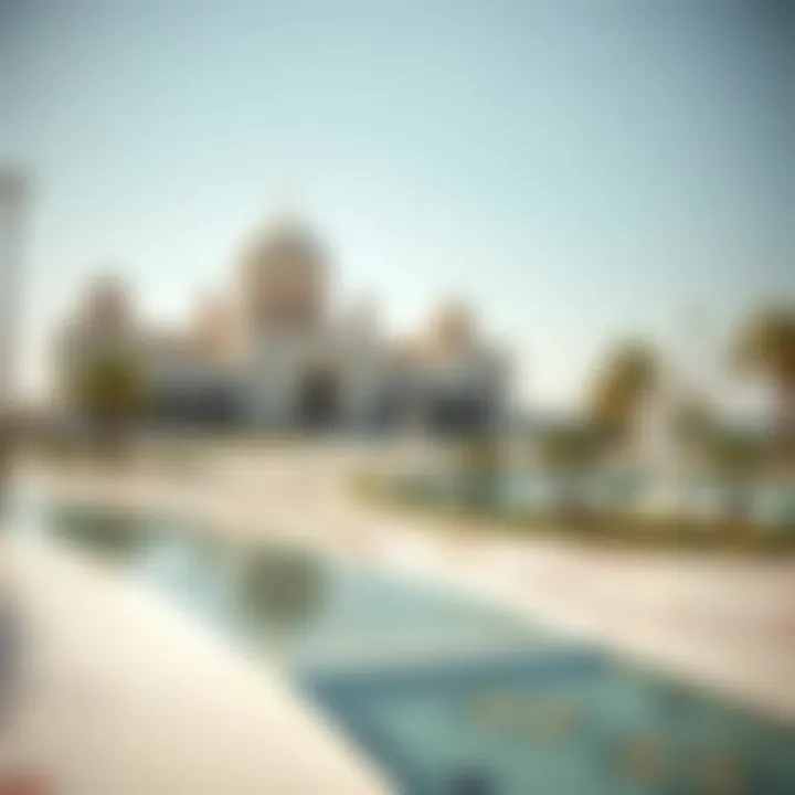 Magnificent Understanding the Validity of Tourist Visas in the UAE