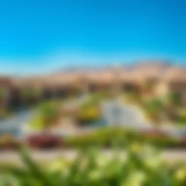 Amenities and Surroundings of Al Jaddaf Avenue Scenic view of the Al Jaddaf neighborhood with amenities