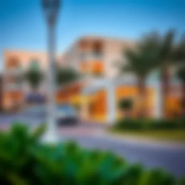 Exploring Local Amenities in Al Nuaimia Local amenities in Al Nuaimia, including parks and shopping areas