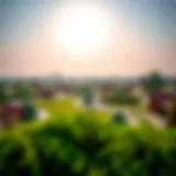 A panoramic view of Al Safa 2 Park showcasing lush greenery and walking paths.