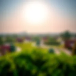 A panoramic view of Al Safa 2 Park showcasing lush greenery and walking paths.