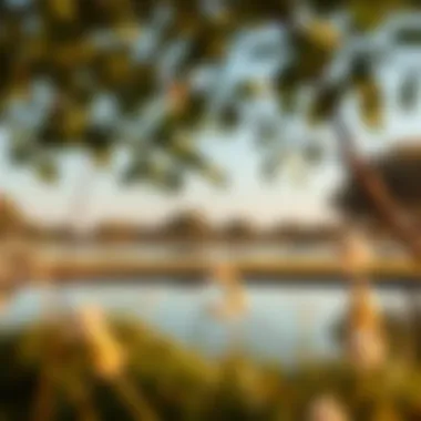 Serene Lake in Al Safa 2 Park A serene lake surrounded by trees in Al Safa 2 Park, enhancing its ecological appeal.