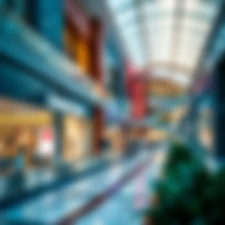 Notable Analyzing the Cost Dynamics of Dubai Outlet Mall