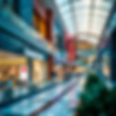 Notable Analyzing the Cost Dynamics of Dubai Outlet Mall Notable Analyzing the Cost Dynamics of Dubai Outlet Mall