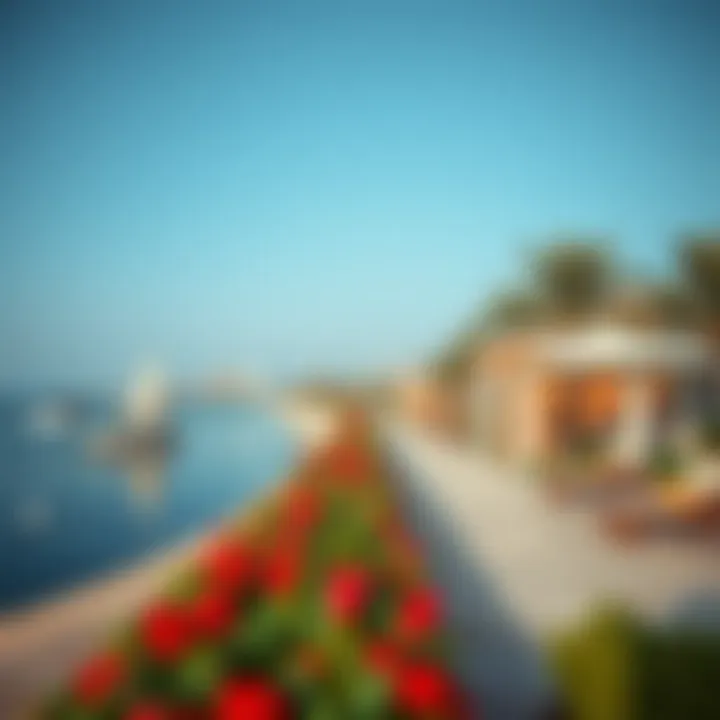 Vibrant recreational spaces along Buhaira Corniche