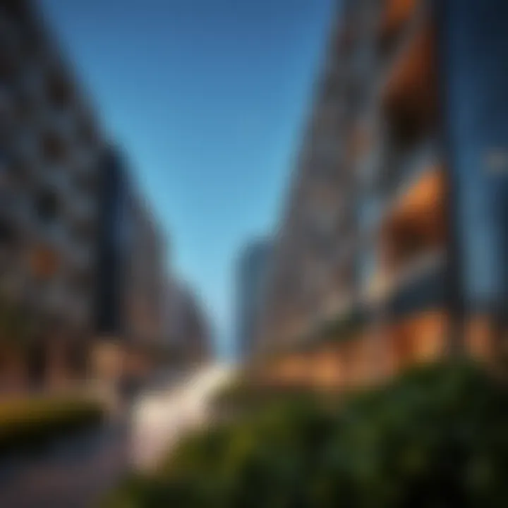 Notable Dissecting the JVC Community in Dubai