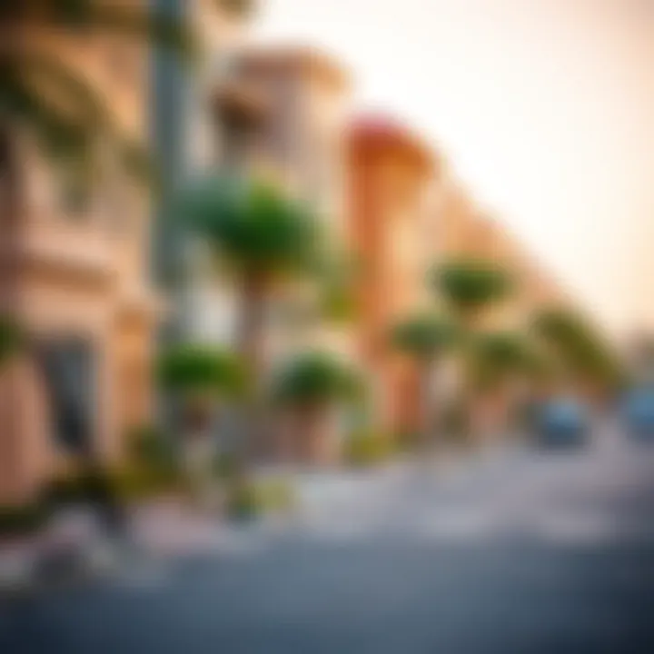Thriving Dubai Community Vibrant community in a popular Dubai neighborhood