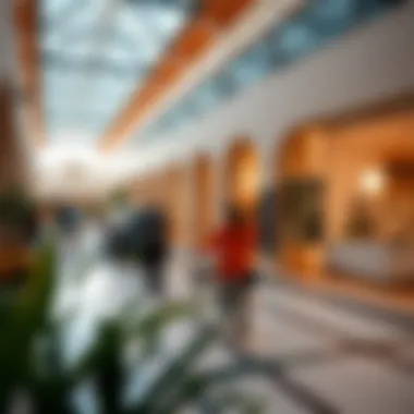 Notable Exploring Activities at the Galleria Mall: A Comprehensive Guide Notable Exploring Activities at the Galleria Mall: A Comprehensive Guide