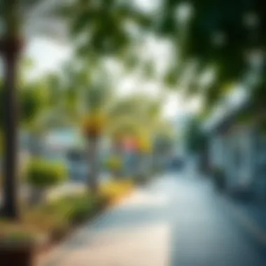Community Facilities in عجمان الراشدية An engaging scene of community facilities such as parks and shopping areas in عجمان الراشدية