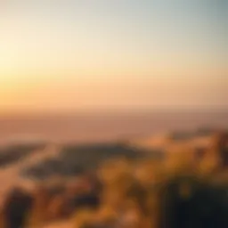 A panoramic view of Al Marmoom Desert Conservation Reserve showcasing its vast expanse and natural beauty