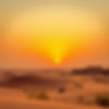 A stunning sunset over the Al Marmoom Desert showcasing the serene environment
