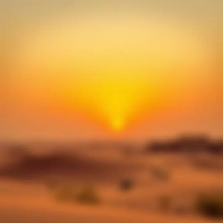 A stunning sunset over the Al Marmoom Desert showcasing the serene environment