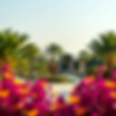 Exploring Al Mushrif Park: A Green Oasis in Dubai Summary Exploring Al Mushrif Park: A Green Oasis in Dubai Summary