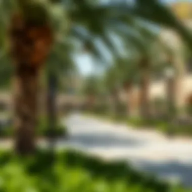 Community Park in Al Muwaihat 2 Vibrant community park in Al Muwaihat 2 with lush greenery