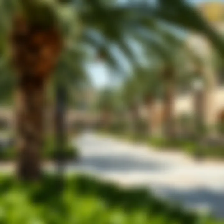 Community Park in Al Muwaihat 2 Vibrant community park in Al Muwaihat 2 with lush greenery