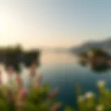 Scenic view of Expo Lake surrounded by lush greenery