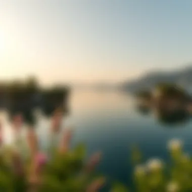 Scenic Beauty of Expo Lake Scenic view of Expo Lake surrounded by lush greenery