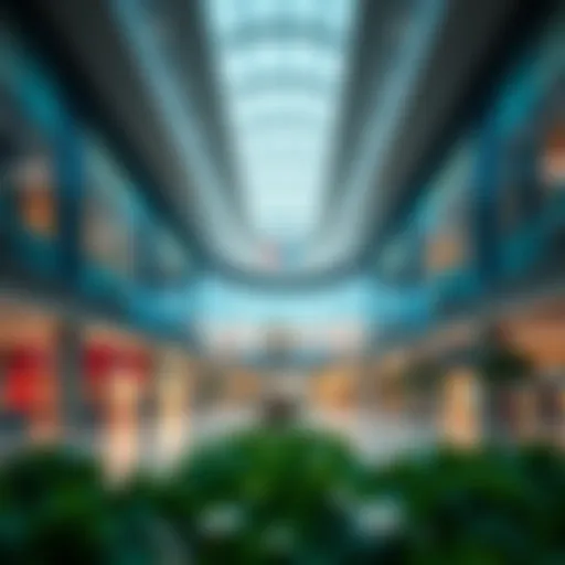 Exploring Carrefour Business Bay: A Hub of Convenience and Commerce Introduction