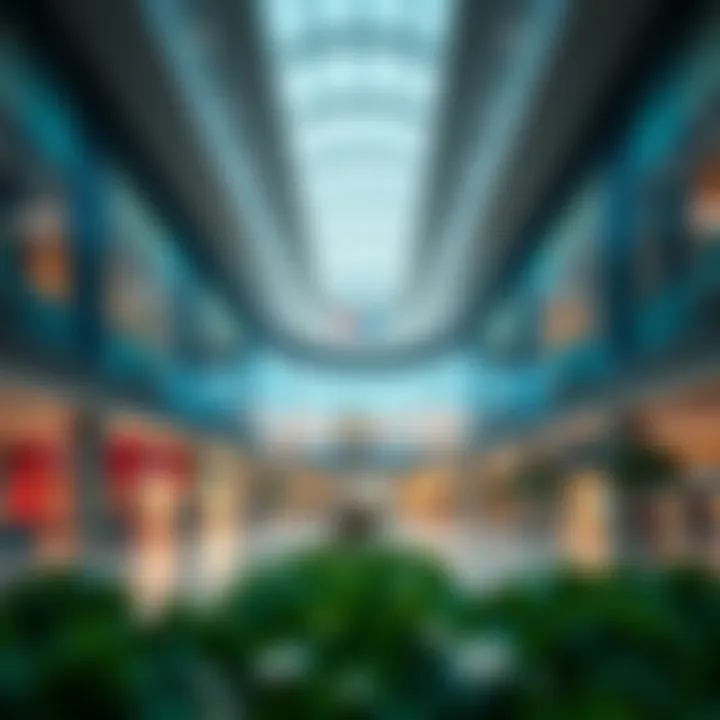 Exploring Carrefour Business Bay: A Hub of Convenience and Commerce Introduction