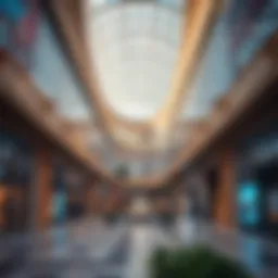 Exploring Central Mall in Khalifa City: A Comprehensive Overview Introduction