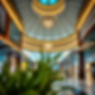 Exploring Central Mall in Khalifa City: A Comprehensive Overview Summary