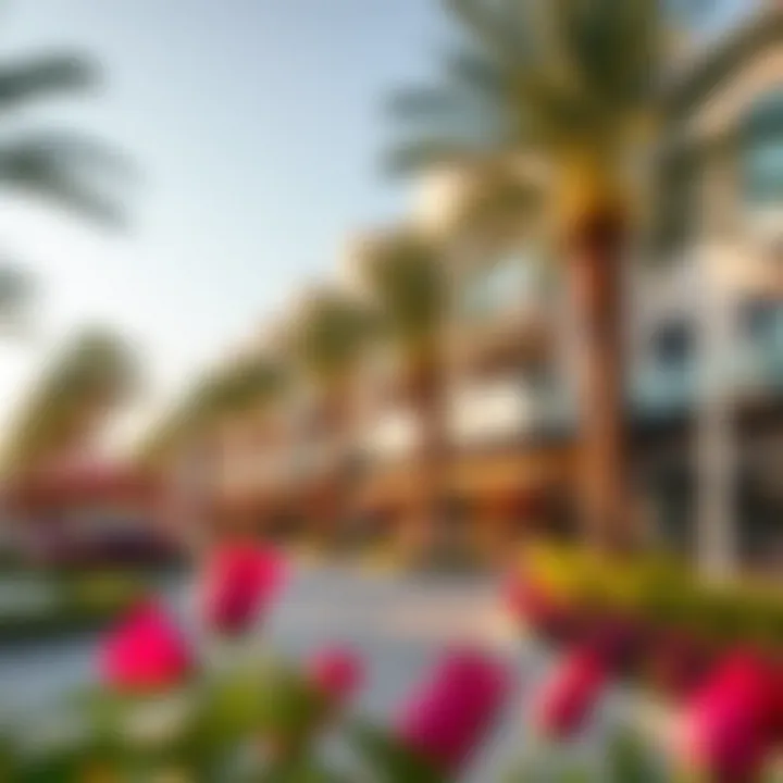 Vibrant surroundings and lifestyle options near Damac Lincoln Park