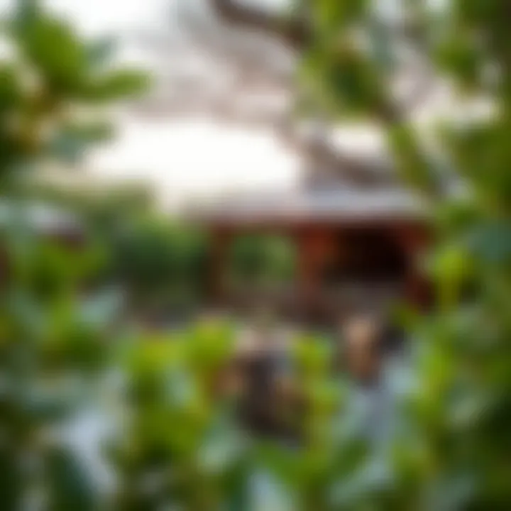 Charming outdoor dining area surrounded by nature