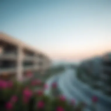 Exploring International City Phase 2: The Warsan 4 Landscape Summary Exploring International City Phase 2: The Warsan 4 Landscape Summary
