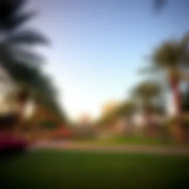 Peaceful park in JVC District 12 offering recreational spaces for families