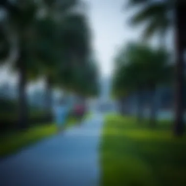 Joggers on a pathway lined with trees in Khalifa City