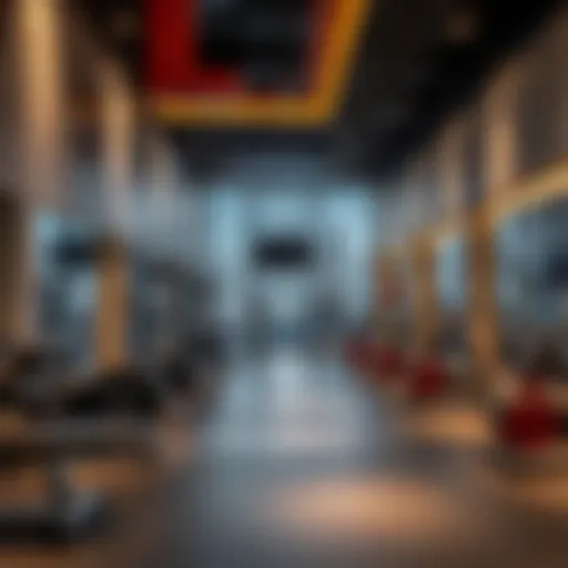 Exploring Private Gyms in Dubai: A Comprehensive Guide Introduction