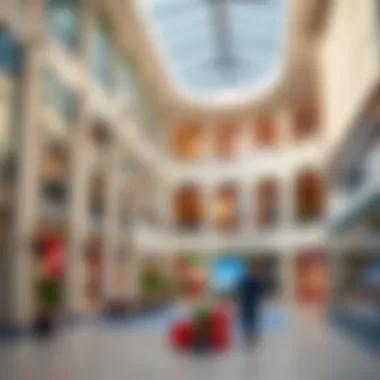 Exploring the Community Center Shops of Damac Hills 2 Summary Exploring the Community Center Shops of Damac Hills 2 Summary
