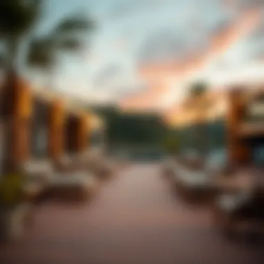 Exploring the Concept of Outdoor Cinema: An In-Depth Analysis Summary Exploring the Concept of Outdoor Cinema: An In-Depth Analysis Summary