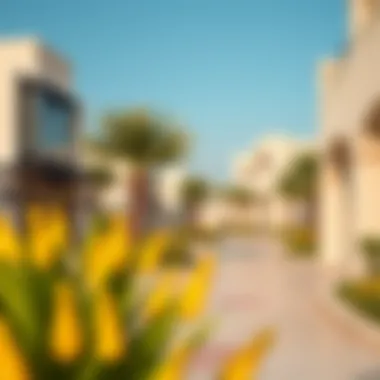 Community amenities surrounding Barjeel Abu Dhabi