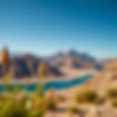 Notable Exploring the Hatta Hiking Trail: A Comprehensive Guide Notable Exploring the Hatta Hiking Trail: A Comprehensive Guide