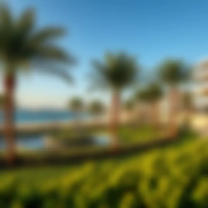 Recreational area on Palm Island featuring lush greenery and leisure facilities