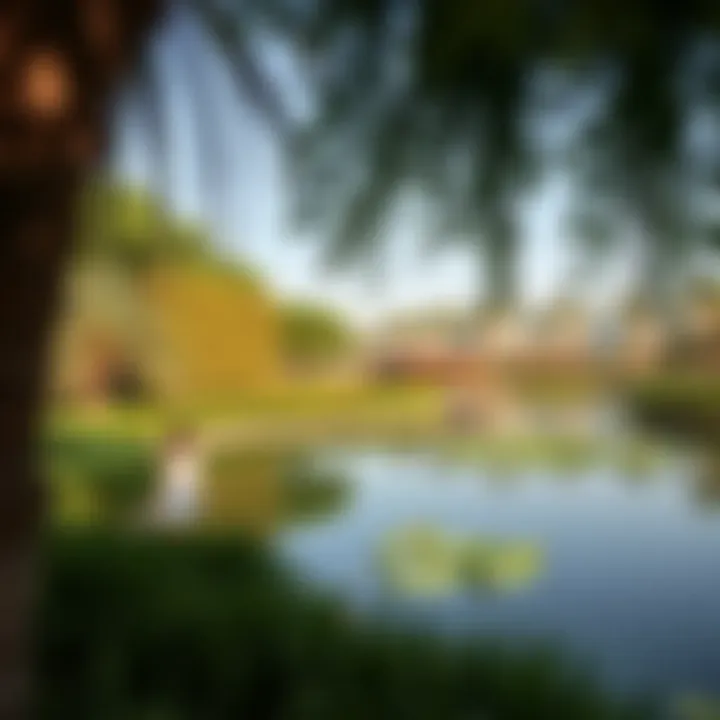 A panoramic view of Al Barsha Pond Park showcasing lush greenery and tranquil waters