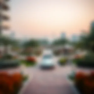 An artistic layout of Zabeel Park with its unique design and recreational areas