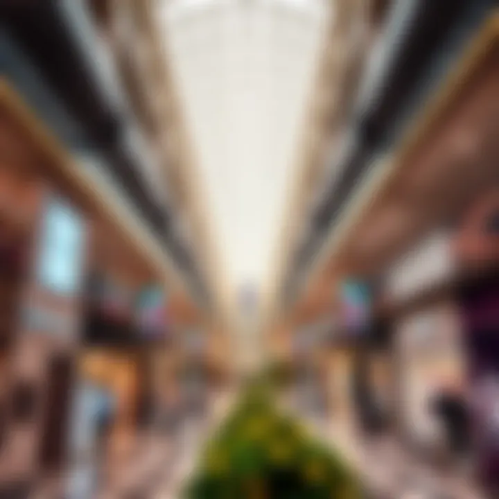 Exploring the Shopping Landscape in Mirdif: A Comprehensive Guide Summary