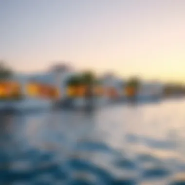 Elegant Waterfront Villas on Palm Jumeirah Luxurious waterfront villas along Palm Jumeirah