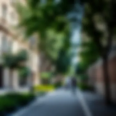 A pedestrian-friendly street lined with trees and green spaces encouraging walking