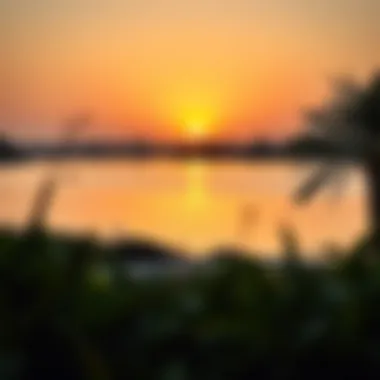 A sunset view over the tranquil lake in Warqa Park