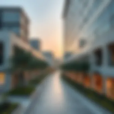 Healthcare City in Dubai: Transforming the Medical Landscape Summary Healthcare City in Dubai: Transforming the Medical Landscape Summary