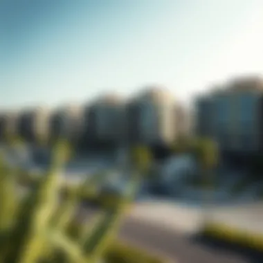 Sustainable urban landscape crafted by Imtiaz